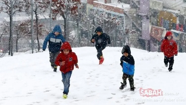 Bugün okullar tatil mi, hangi illerde kar tatili var? 17 Ocak Pazartesi okullar tatil mi? Valilik son dakika duyurdu!