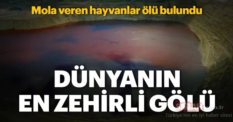 Dünyanın en zehirli gölü!