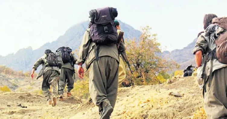 PKK yöneticisi Kulp kırsalında yakalandı