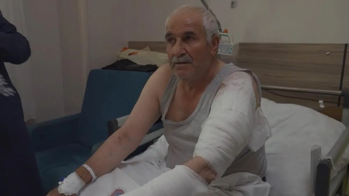 Yer Van: Ot biçen vatandaşa kurt saldırdı!