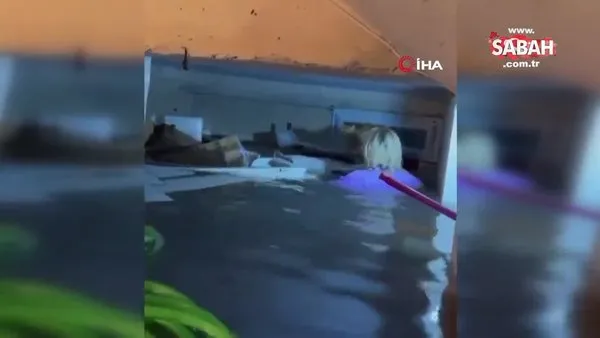 Selde kendi hayatını hiçe saydı, suyla dolu bodrumdan mahsur kalan kediyi böyle kurtardı | Video