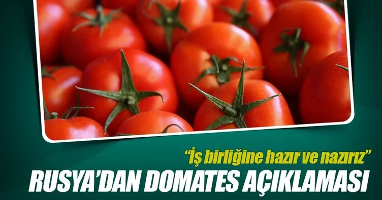 Rusya Tarım Bakan Yardımcısından “domates” açıklaması
