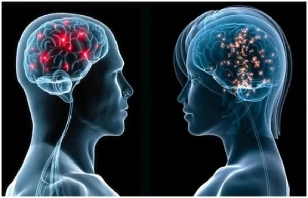 Beyne ilaç veren beyin implantı geliştirildi