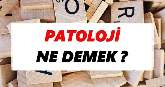Patoloji Ne Demek? TDK’ya Göre Patoloji Sözlük Anlamı Nedir?