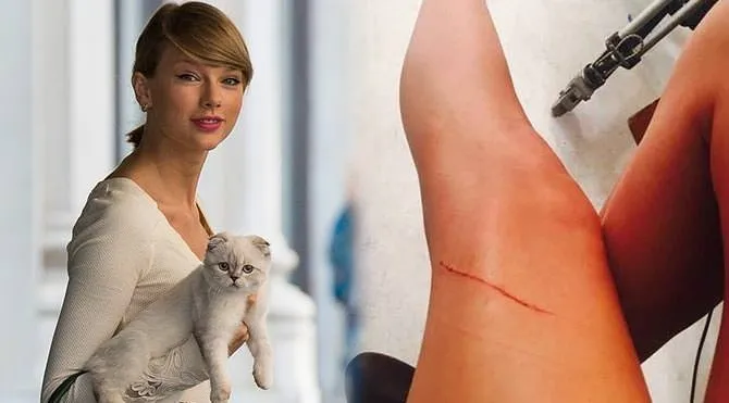 Taylor Swift’in kedi tutkusu