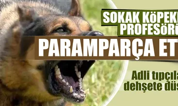 Sokak köpekleri profesörü parçaladı
