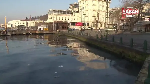İstanbul’un ünlü sahilinde turistleri şaşkına çeviren manzara | Video