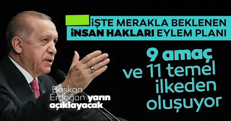 Son dakika haberi... Başkan Erdoğan yarın açıklayacak! İşte İnsan Hakları Eylem Planı detayları...