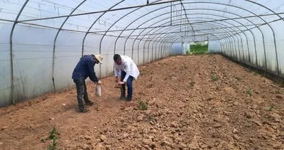 Kocaeli'de çiftçilere büyük destek: Ücretsiz toprak analizi hizmeti #kocaeli