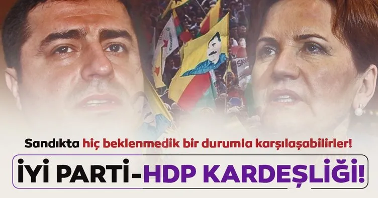 İYİ Parti ve HDP kardeşliği bu partilere pahalıya patlayabilir