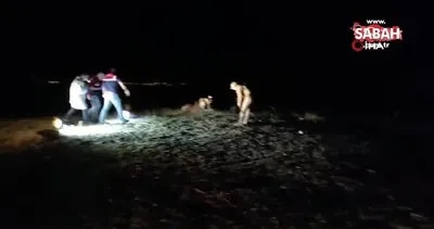 Muradiye’de çoban arazide ölü bulundu, 3 kişi gözaltına alındı | Video