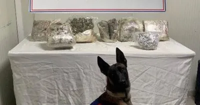 Şanlıurfa’da narkotik köpeği affetmiyor #sanliurfa