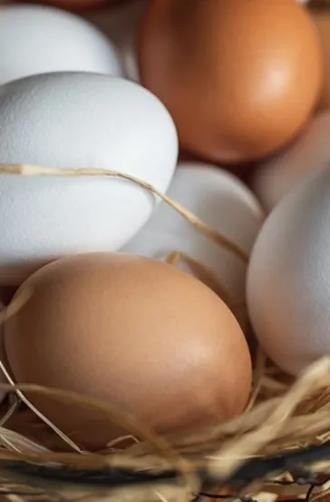 Mutfağınızdaki en büyük hata! Yumurtaları asla böyle yerleştirmeyin