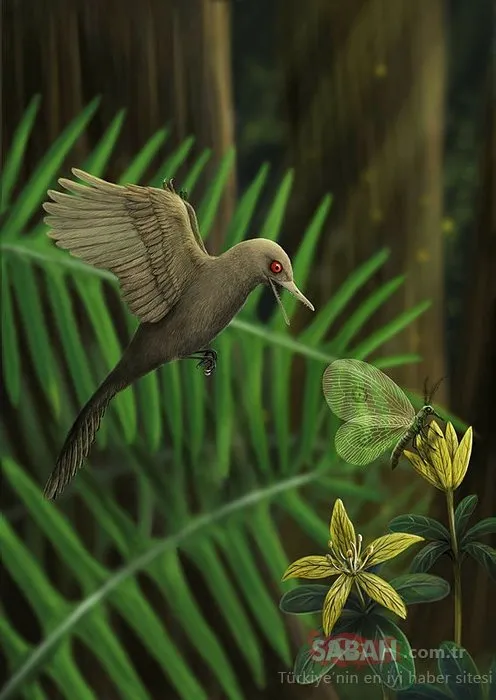 99 milyon yıllık kehribar içinde dünyanın en küçük dinozor fosili keşfedildi