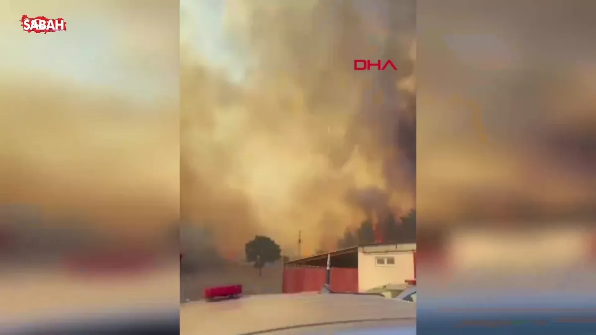 Çanakkale’de orman yangını: Havadan ve karadan müdahale ediliyor… | Video videosunu izle Çanakkale’de orman yangını: Havadan ve karadan müdahale ediliyor… | Video videosunu izle