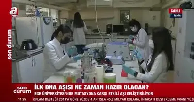 SON DAKİKA: Türkiye’nin ilk yerli kornavirüs DNA aşısı ne zaman kullanılmaya başlayacak? | Video