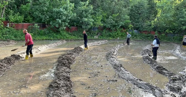 Terörden temizlenen bölgelerde tarım gelişiyor