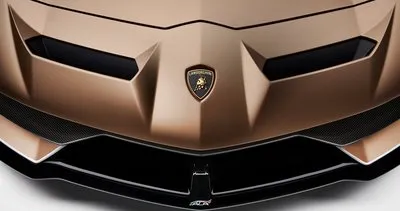 Lamborghini Aventador SVJ Roadster resmen tanıtıldı! Bakın nasıl özellikleri var...