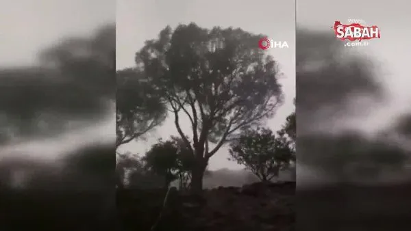 Fransa'nın Korsika Adası'nda fırtına: 3 ölü, 12 yaralı | Video