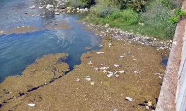 Seyhan Nehri çöplüğe döndü