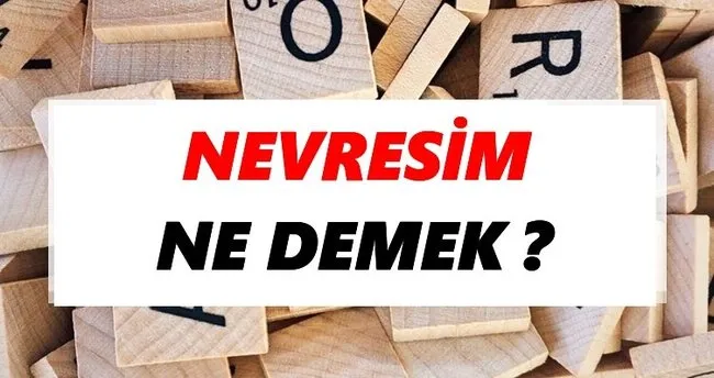 Nevresim Ne Demek? TDK’ya Göre Nevresim Sözlük Anlamı Nedir?