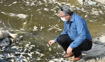 Aydın’da sulama kanalındaki toplu balık ölümlerine ilişkin inceleme başlatıldı
