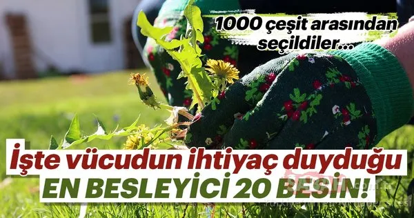 Vücudun en çok ihtiyaç duyduğu en sağlıklı besinler 1000 çeşit arasından seçildiler! İşte dünyanın en sağlıklı besinleri...
