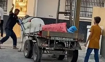Ata zulme ders gibi ceza #adana Ata zulme ders gibi ceza #adana