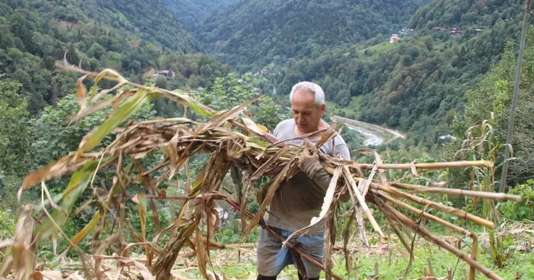 Myanmar’a gidemeyen büyükelçi Rize’de bahçe işleri yapıyor