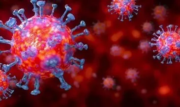 Son dakika: Koronavirüs insan derisinde ne kadar yaşayabiliyor