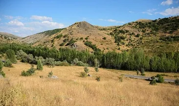 Bu arazi bize Atatürk’ten hatıra