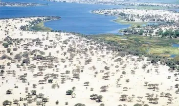 Afrika’nın can damarı kuruyor