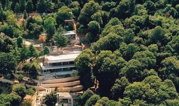 Kaçak villa için 100 kayın ağacını kestiler #istanbul