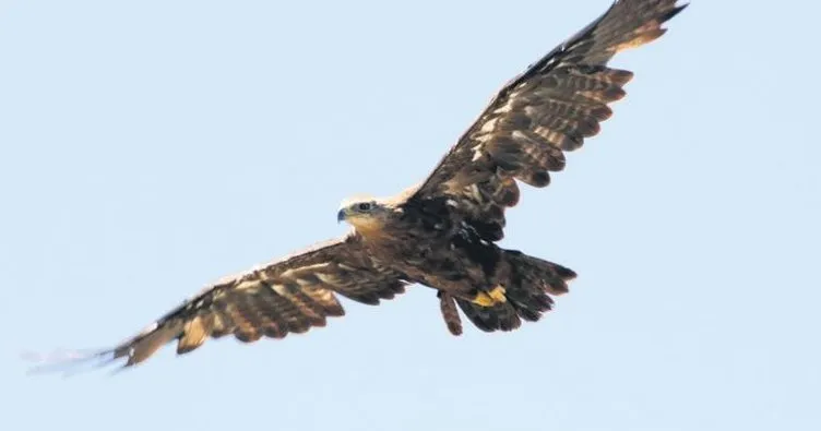 Yörük, saatte 60 km hızla Çad’a uçtu