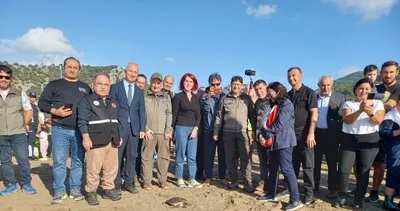 Cumhuriyet coşkusuyla deniz kaplumbağaları ailelerle birlikte özgürlüğe ulaştı #mugla