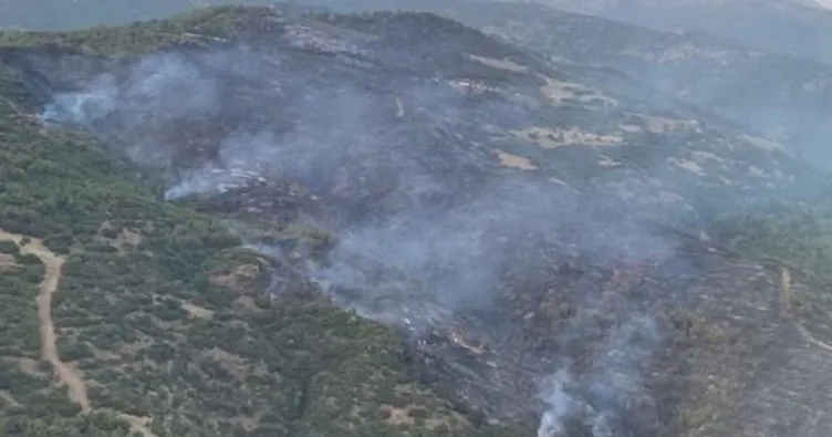 İzmir Ödemiş’teki orman yangını kontrol altına alındı