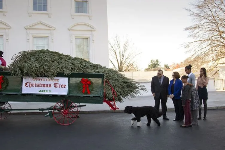 Beyaz Saray’a Noel geldi