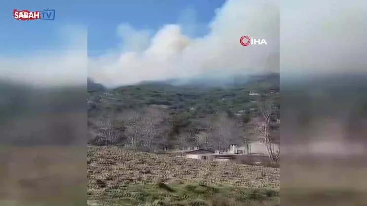 SON DAKİKA! Çanakkale Gelibolu'da orman yangını | Video