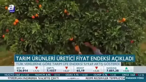 Tarım ürünleri üretici fiyat endeksi açıklandı