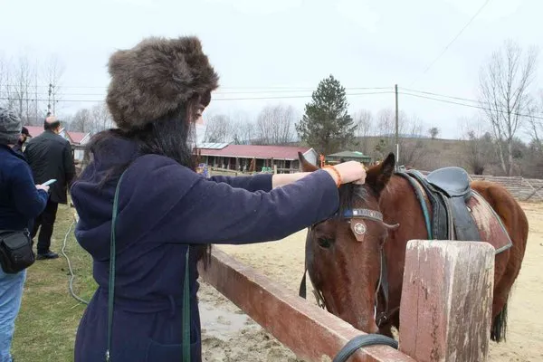 Seyahat acenteleri Kastamonu’daki at çiftliklerine hayran kaldı