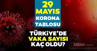 SON DAKİKA! Koronavirüs tablosu 29 Mayıs I Bakan Fahrettin Koca açıkladı: Günlük korona tablosu ile Türkiye vaka ve vefat sayıları