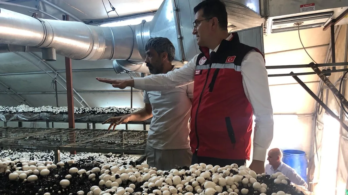 Şanlıurfa’da üretiliyor... Faydaları saymakla bitmez