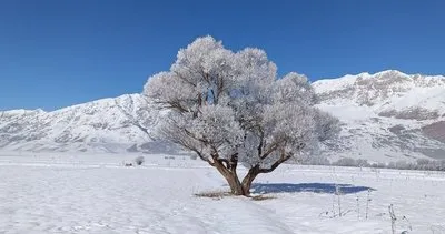 Tunceli’nin Ovacık ilçesine yağan kar görsel şölen oluşturdu #tunceli