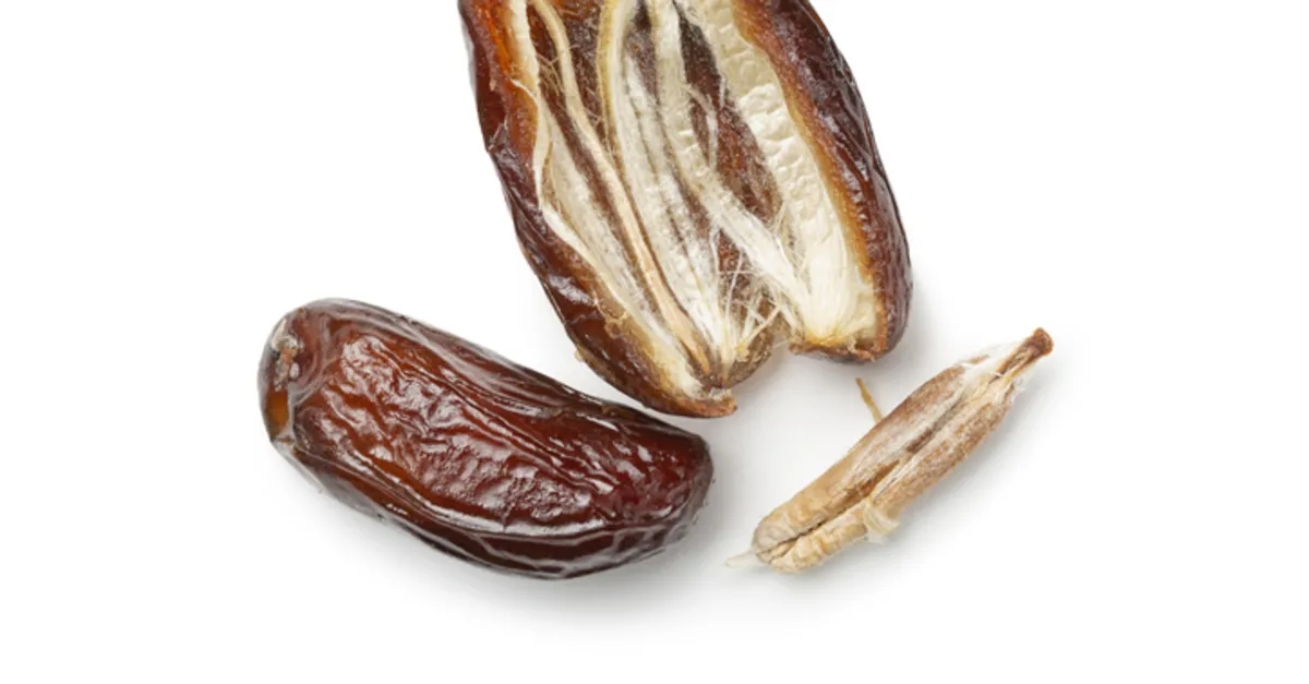 Hurma Çekirdeği Çimlendirme: Hurma Çekirdeği Kaç Günde Çimlenir? - Bitkiler Haberleri