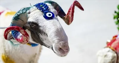 Kurban Bayramı ne zaman, kaç gün tatil olacak? Bakan Ersoy açıkladı: Bayram tatili 9 gün mü olacak?