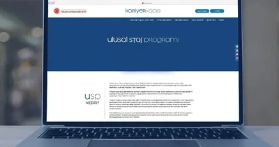 Ulusal Staj Programı sonuçları ne zaman açıklanacak, belli oldu mu? 2026 USP sonuçları sorgulanıyor!