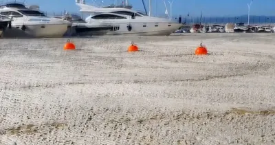 Deniz Salyası nedir? Müsilaj neden olur?