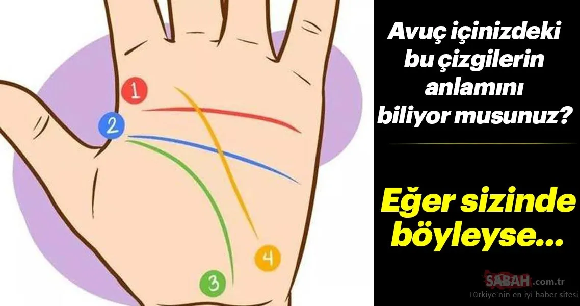 Avuc Icinizdeki Bu Cizgilerin Ne Anlama Geldigini Biliyor Musunuz Son Dakika Haberler