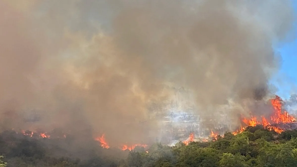 Son dakika: Kocaeli Derince’de orman yangını çıktı Son dakika: Kocaeli Derince’de orman yangını çıktı