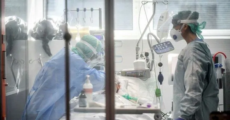 Hastanede kedi krizi